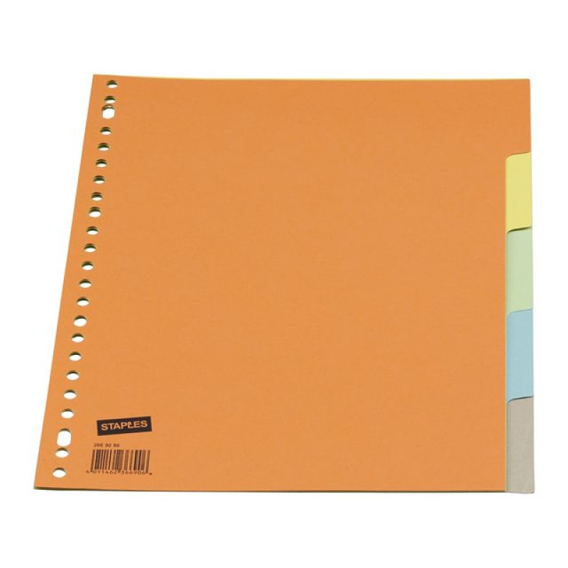 Tabblad SPLS A4 23R karton kleur/set 5