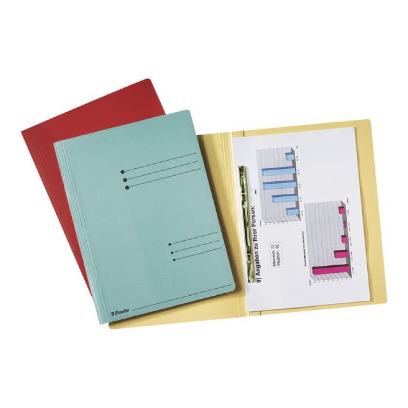 Hechtmap Esselte A4 275g karton bl/ds 50