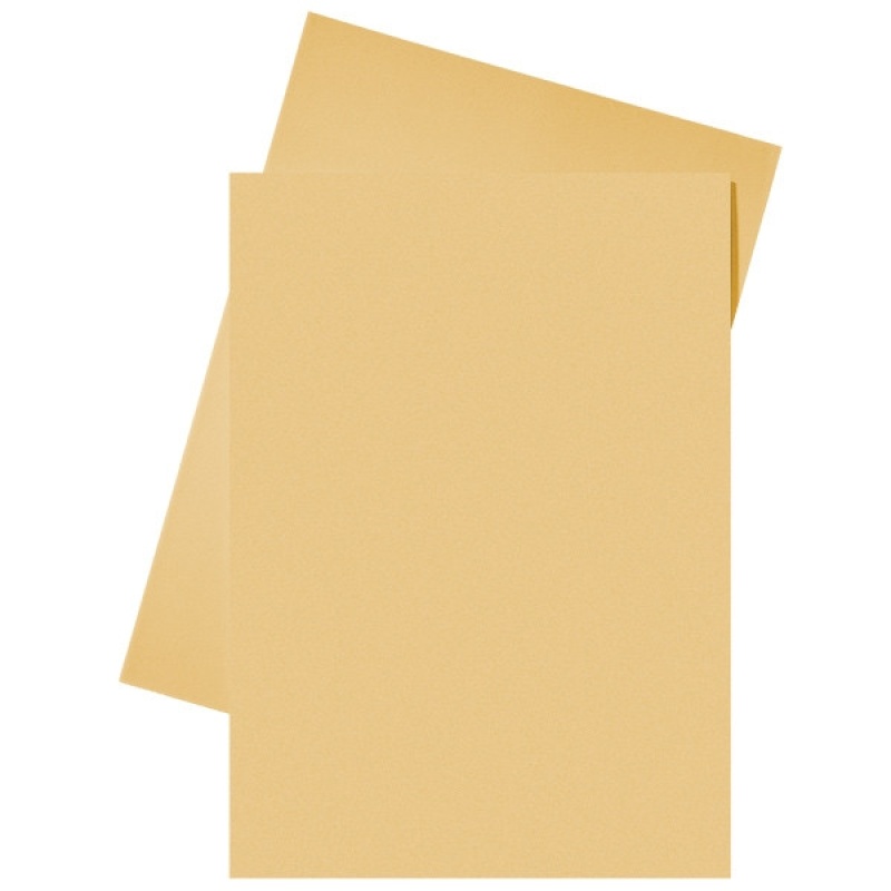 Vouwmap Esselte A4 karton 80g or/pak 250