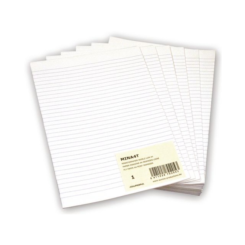 Papier Minister dubbel A4 lijn/pak 240v