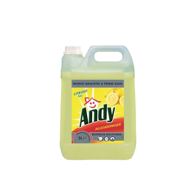 Allesreiniger Andy Prof. citroen/fl 5L