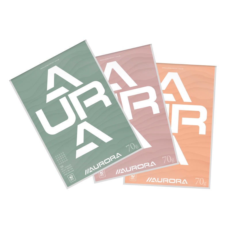 Schrijfblok Aurora A4 ruit 100v/pk10