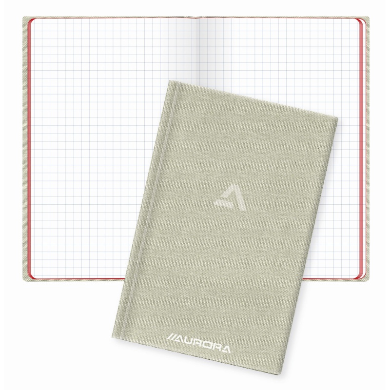 Registerboek Aurora 100x160 linn. 96bl
