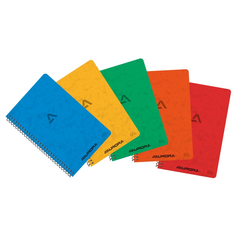 Spiraalblok Aurora 105x160 ruit/pk 20