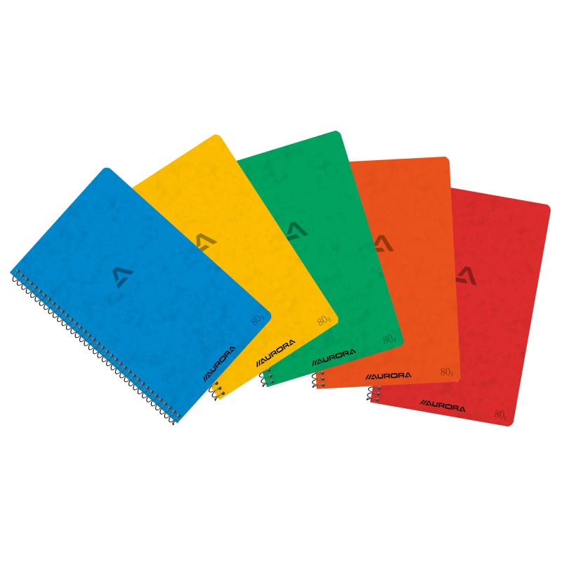 Spiraalblok Aurora 125x195 ruit/pk 10