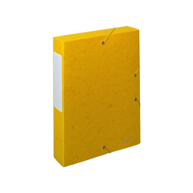 Dossierbox Exacompta NF A4 60mm ge/pk 10