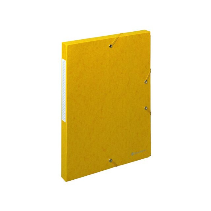 Dossierbox Exacompta NF A4 25mm gl/pk10
