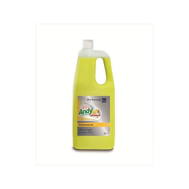 Allesreiniger Andy Prof citroen 2L
