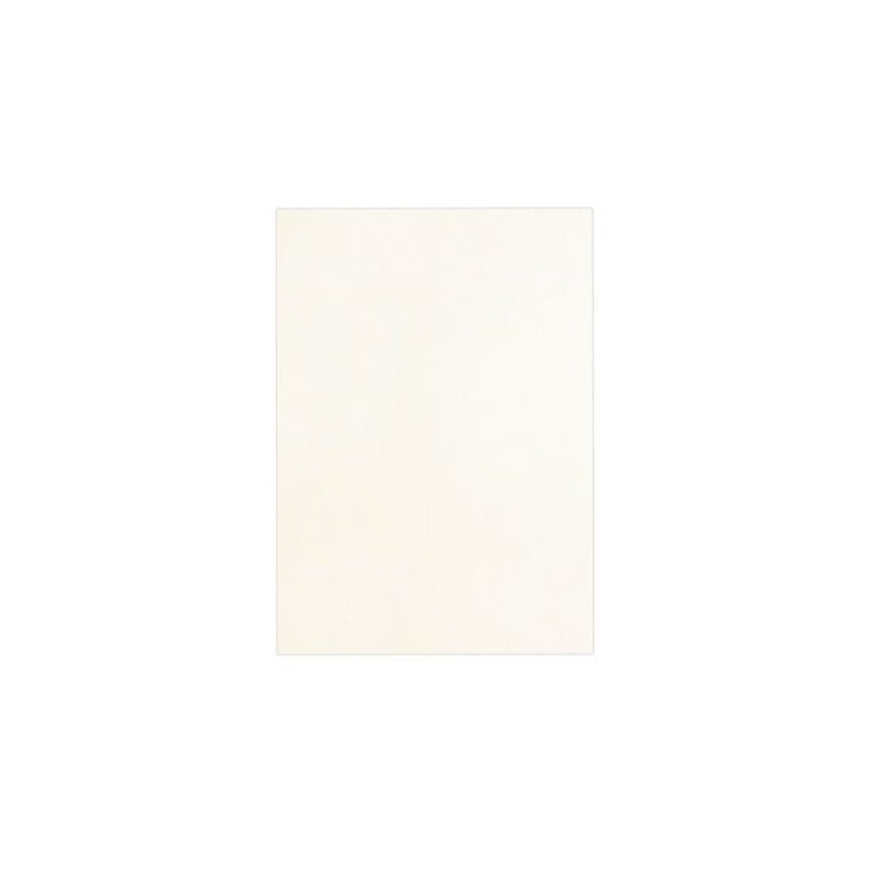 Schutblad BLP leather A4 wit/pk 100