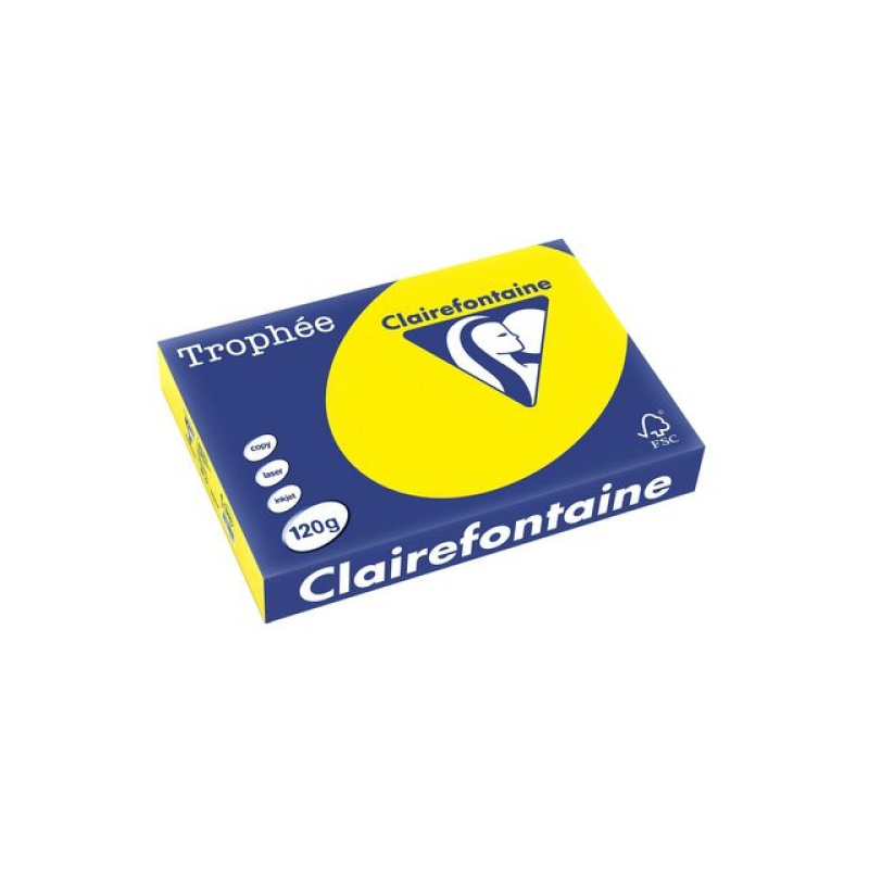 Papier Trophée A4 120g felgeel/pak250v