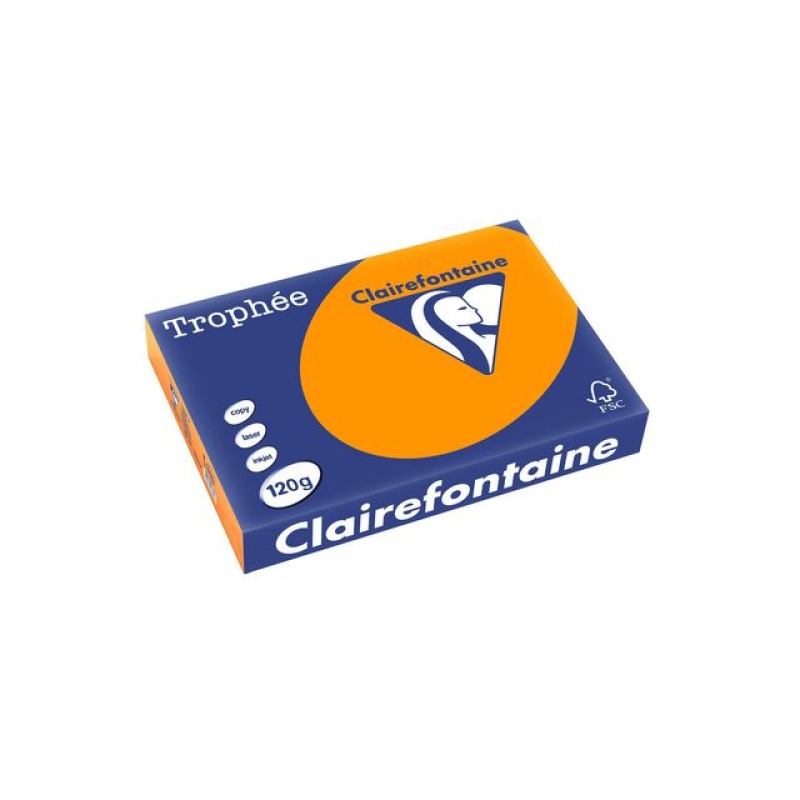 Papier Trophée A4 120g oranje/pak 250v