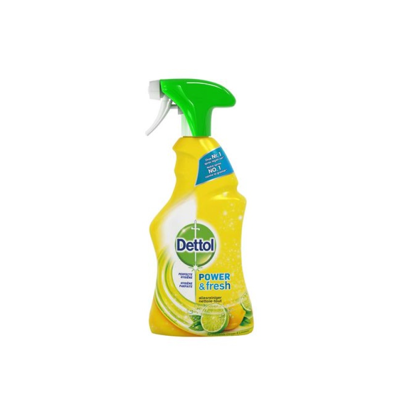 Allesreiniger Dettol Power+Fresh/fl500ml