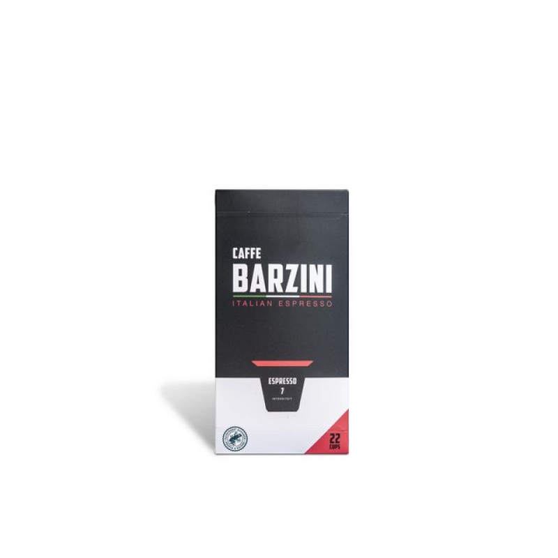 Koffie capsules Barzini Espr. RFA/pk6x22