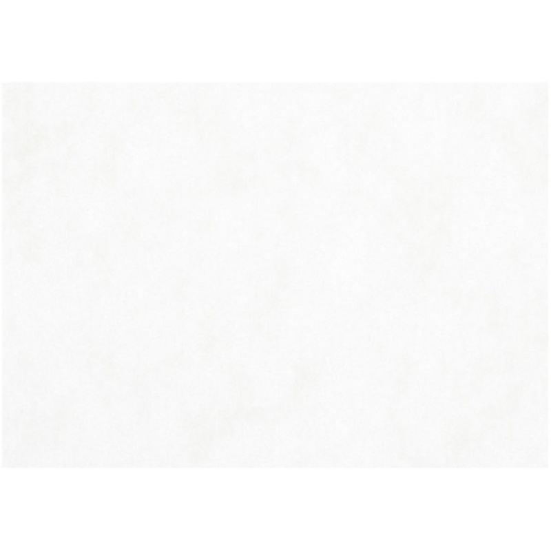 Aquarelpapier A3 200g wit/pk100v