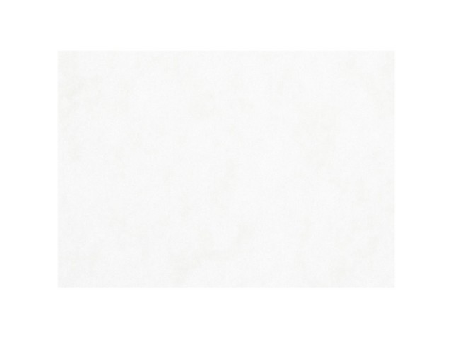 Aquarelpapier A3 200g wit/pk100v