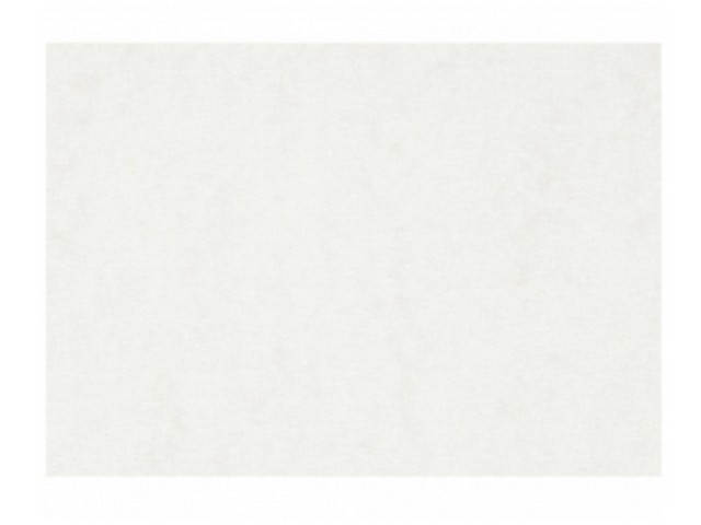 Aquarelpapier A3 300g wit/pk100v