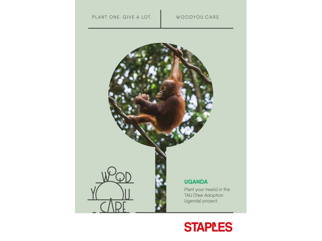 Cadeaukaart WYC tree Uganda
