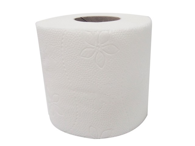 Toiletpapier Euro cel 2L wit/ds12x4rl