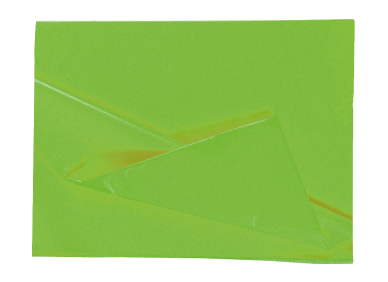 Zijdepapier 50x70cm licht groen/pk26v